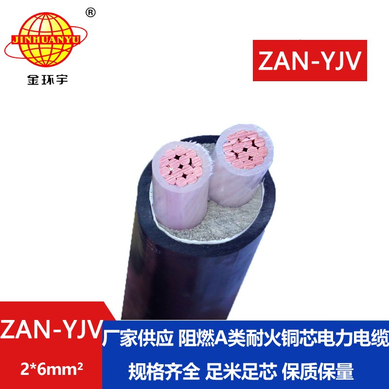 金環(huán)宇電線(xiàn)電纜 ZAN-YJV 2X6平方 阻燃yjv電纜 深圳耐