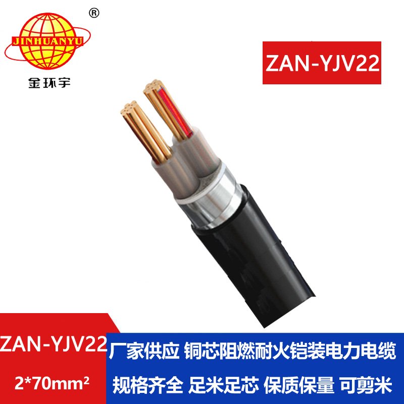 金環(huán)宇電線電纜 銅芯鎧裝電力電纜 阻燃耐火電纜