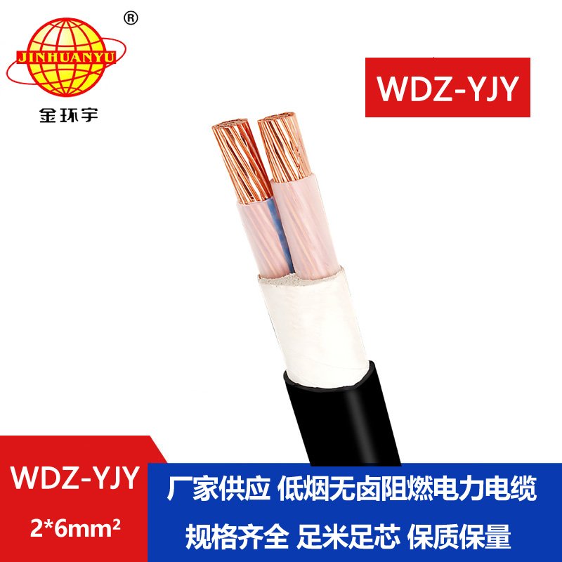 金環(huán)宇電線電纜 WDZ-YJY 2X6平方 深圳銅芯交聯(lián)低煙